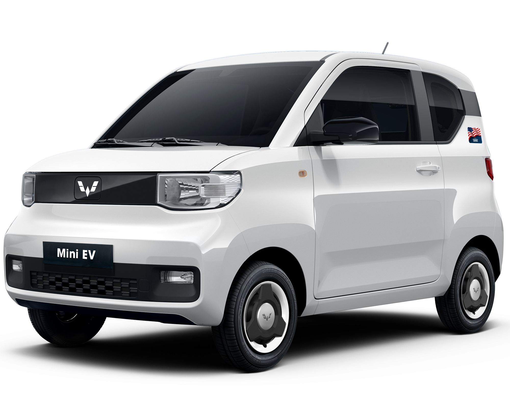 Mini EV LV1